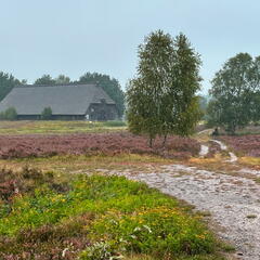 23-09-10 10-07-33 6594